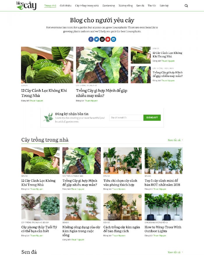 Giao diện webiste WordPress tin tức, blog cây xanh