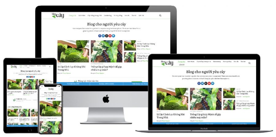 Giao diện webiste WordPress tin tức, blog cây xanh